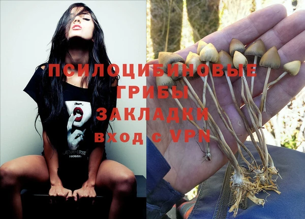 дмт Абаза