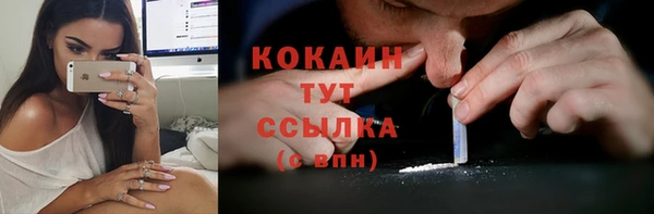 дмт Абаза