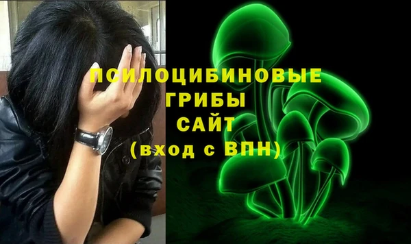 дживик Новокубанск